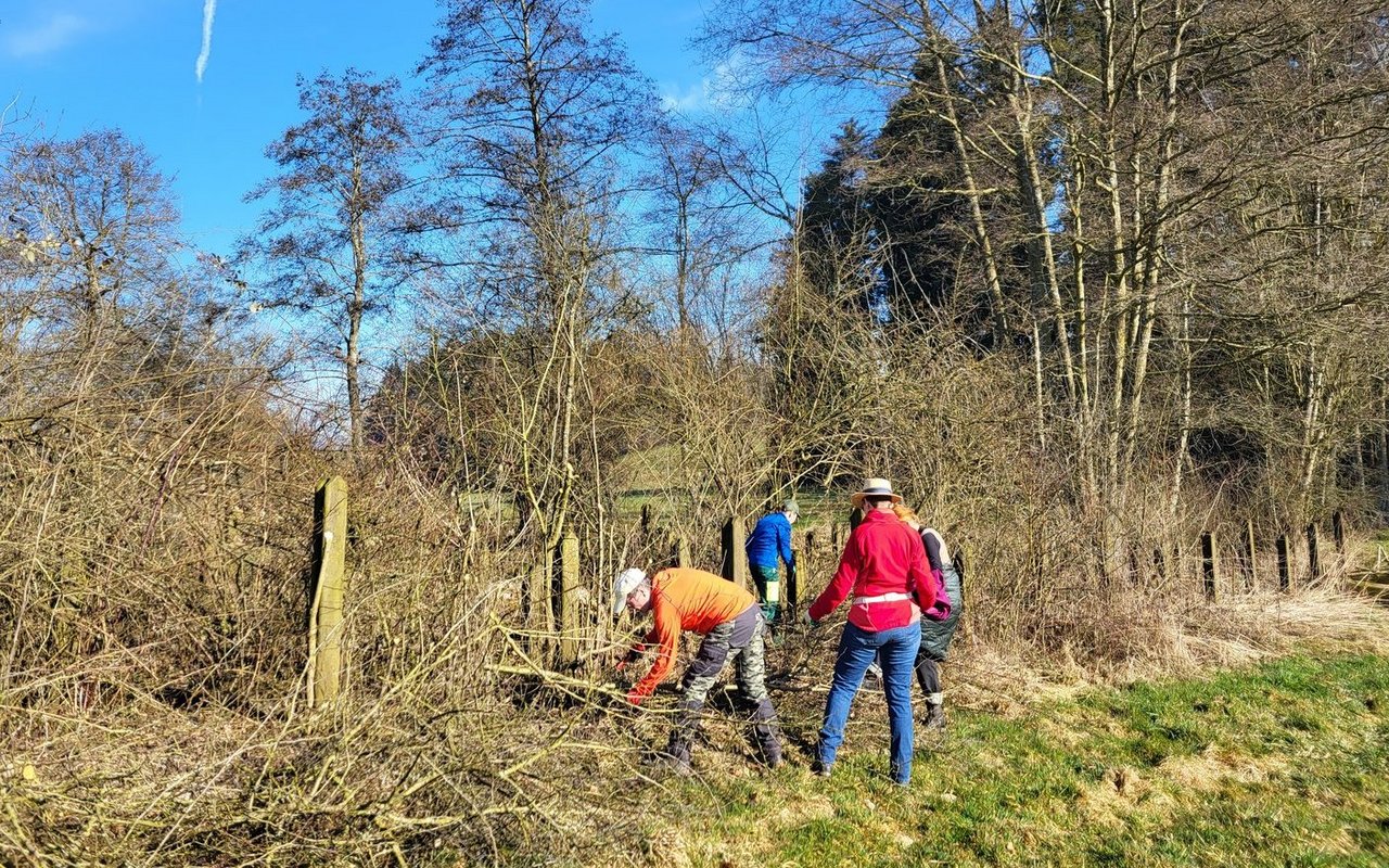 Auslichten, auslichten und noch mehr auslichten lautete das Credo für den Natureinsatz.