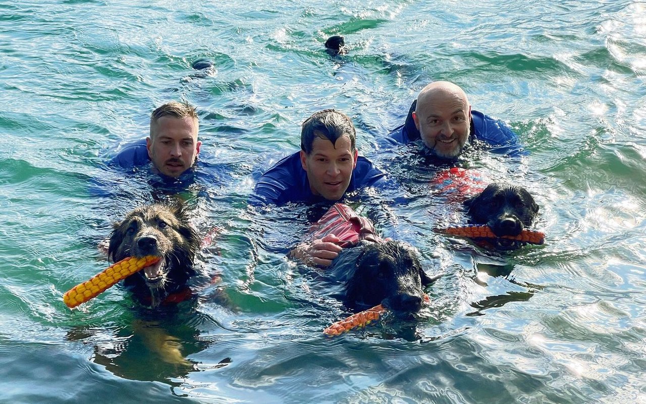 Mensch und Hund bilden bei der Wasserrettung ein Team. Beim Training steht der Spass im Vordergrund.