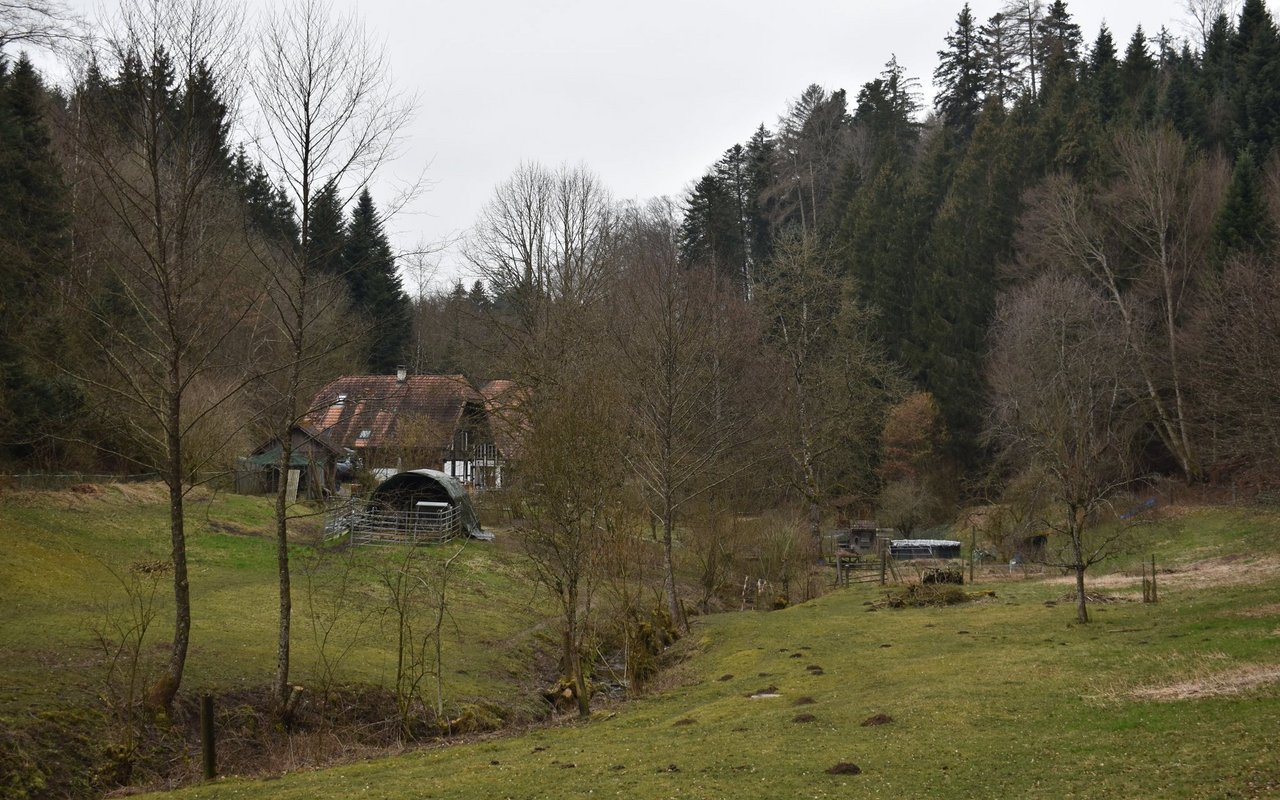 Die Grabenöle befindet sich auf einer abgelegenen Waldlichtung an der Grenze zum Kanton Bern.