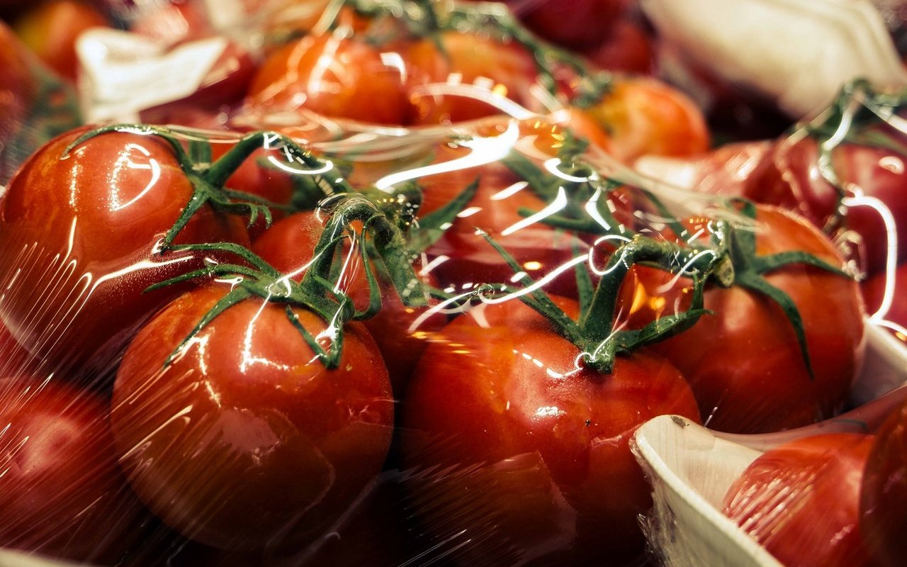 Verpackungen sind allgegenwärtig und erfüllen wichtige Funktionen – stehen jedoch zugleich im Spannungsfeld zwischen Produktschutz und wachsender Umweltbelastung.