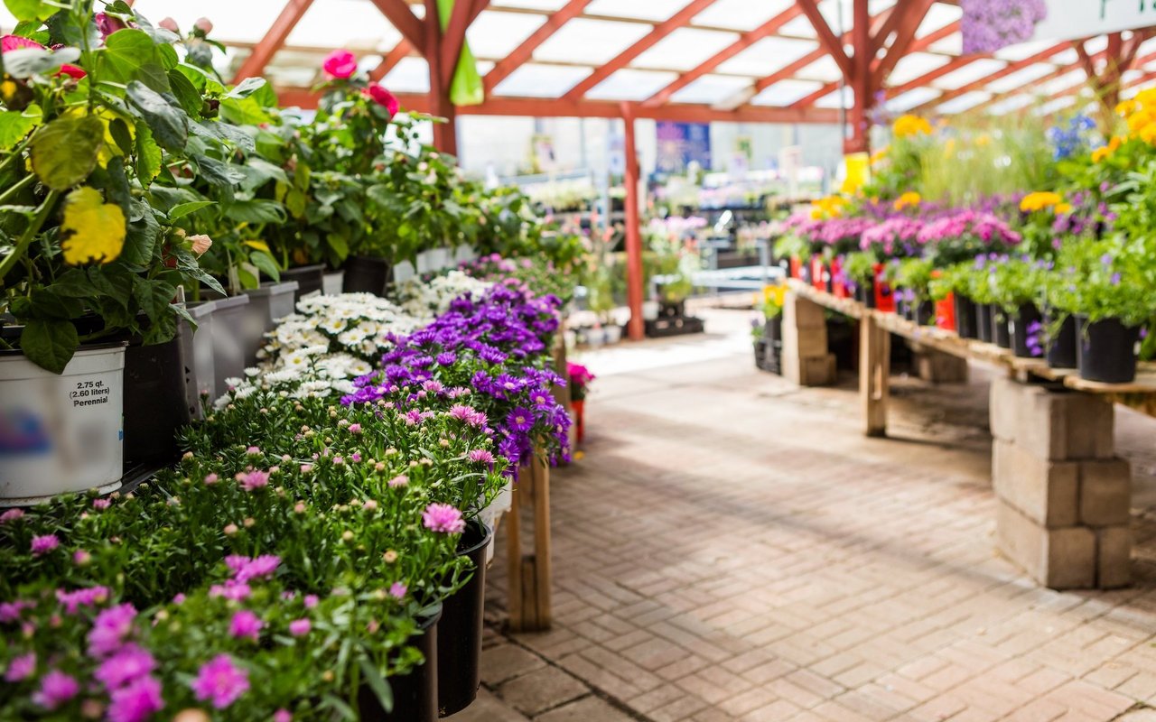 Beim Einkauf im Gartencenter gibt es einige Dinge zu beachten in puncto Nachhaltigkeit.