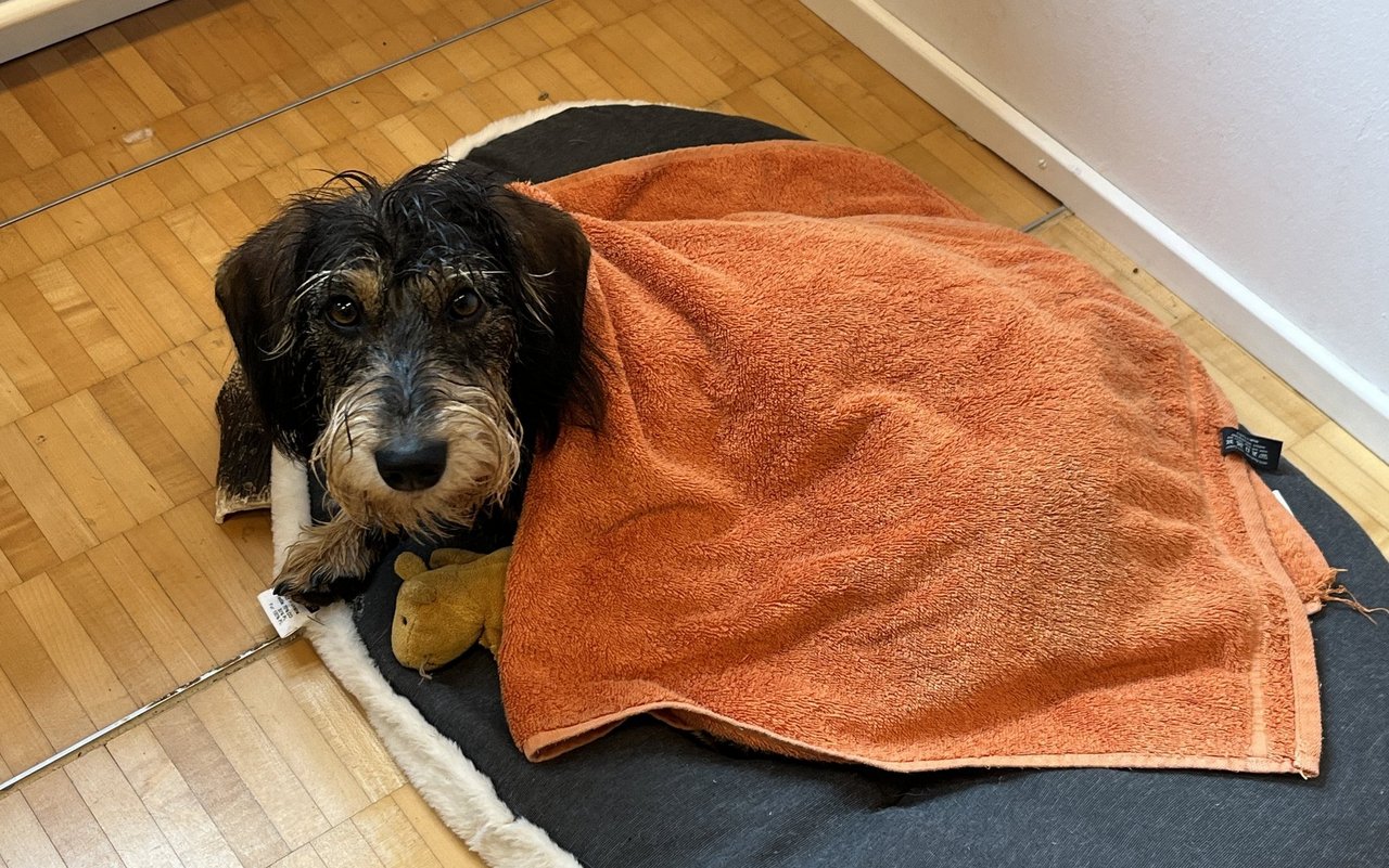 Nach der Arbeit folgt die Erholung - gerne auch im Büro.