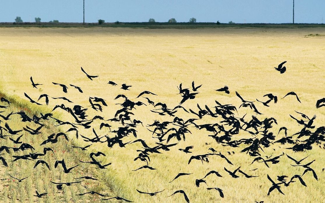 Die meisten Schreckeffekte halten nur für kurze Zeit. 
