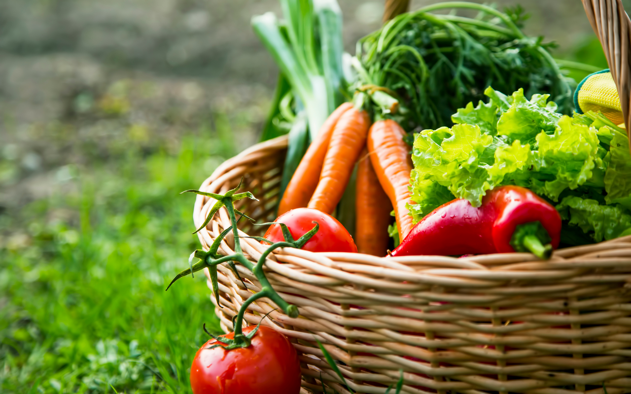 Mittlerweile kann man sich sein Gemüsekörbchen bis vor die Haustür liefern lassen – auch direkt vom regionalen Produzenten.