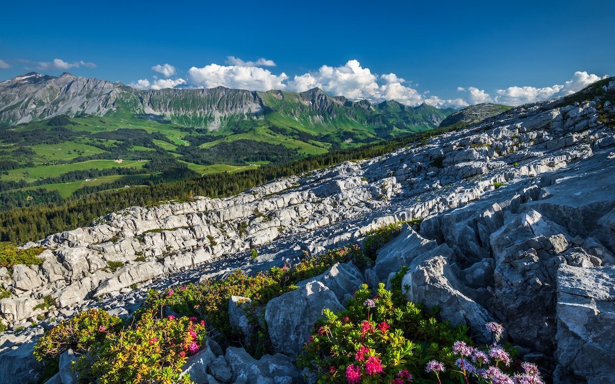 Einmalige Karstlandschaft bei der Schrattenfluh. 