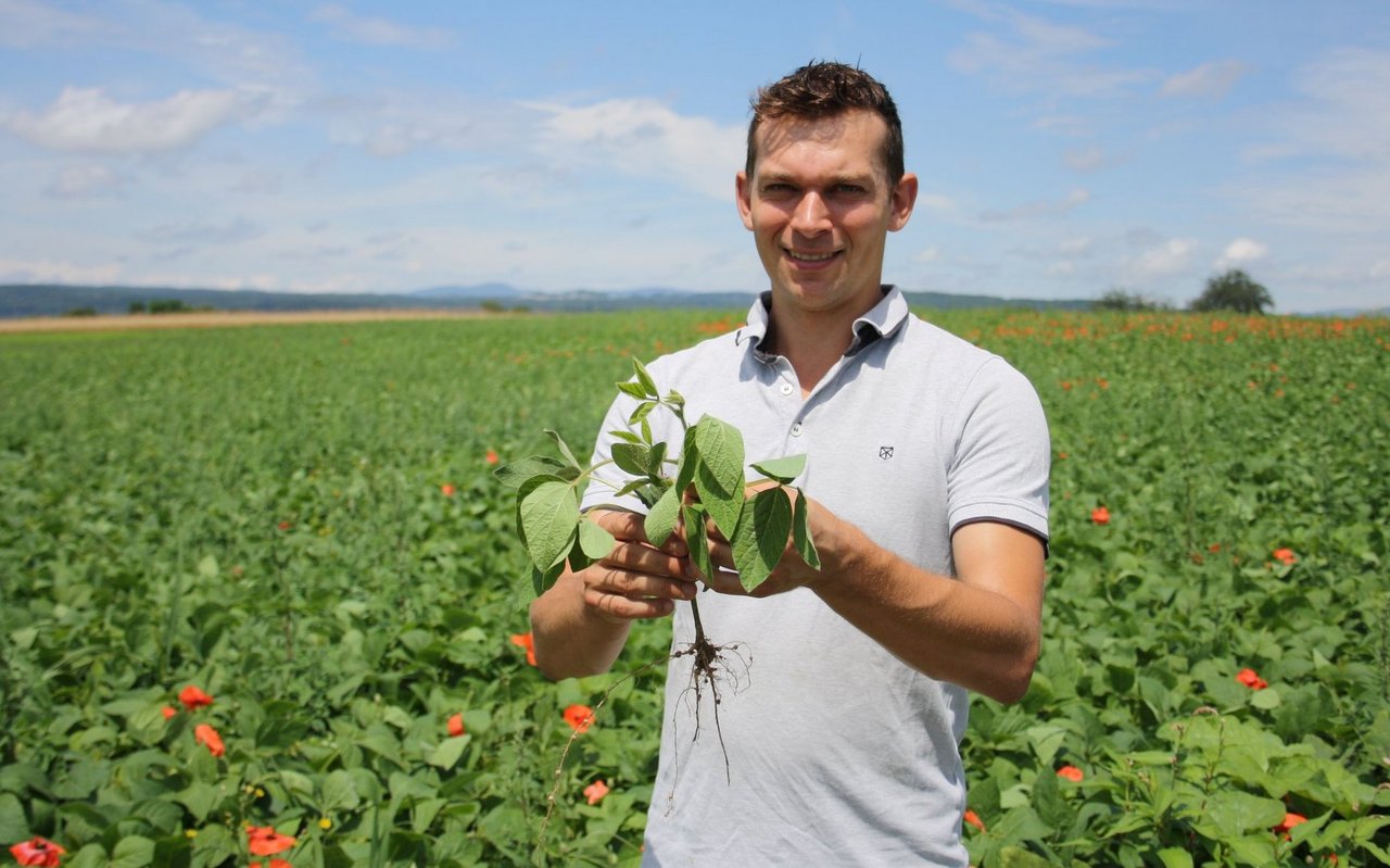 David Metzger ist von der Effizienz von Soja überzeugt.