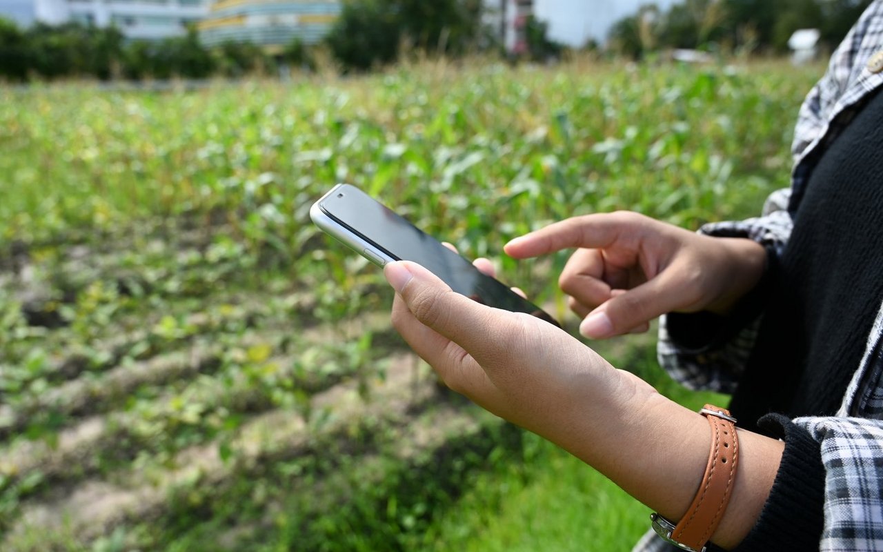 Das bäuerliche Sorgentelefon bietet Bäuerinnen und Bauern in schwierigen Lebenssituationen anonyme Unterstützung.
