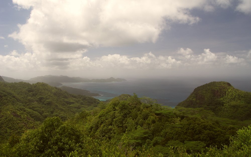 Welche Tiere und Pflanzen leben an dieser unbekannten Küste, und, ist sie bewohnt?