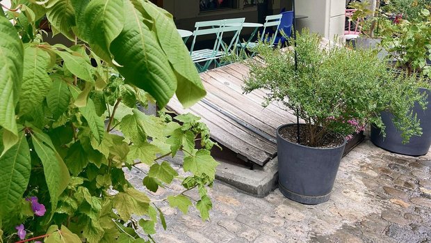 Bildlegende unten rechts