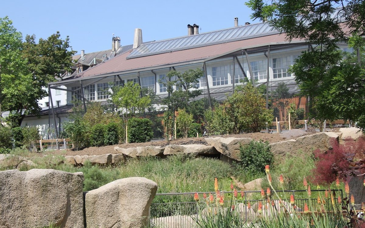 Das Basler Vogelhaus, wie man es kennt und schätzt, ist wieder offen.  